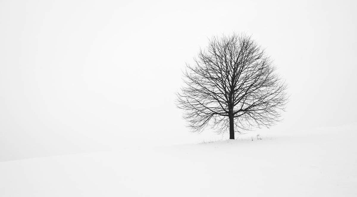 navigate winter Weather